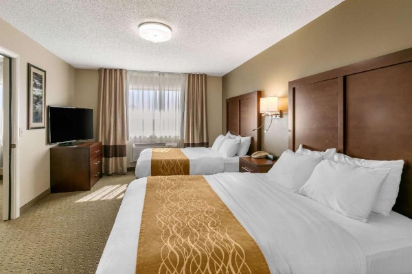 Comfort Inn Worland Hwy 16 to Yellowstone image 24